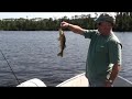 Walleye Fishing Pressure Lake 1.mpg