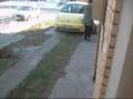 videos de Medo the CHOW CHOW 3