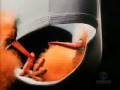 Comercial da Cueca Zorba Anos 80.mpg