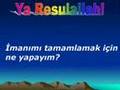 Perygamber Efendimiz  s a v   e kutlu do�um haftas� hediyesi
