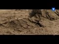 KAPUSHON - ZEMLIANKA (ORA DE RAS)