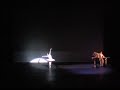 La Muerte del Cisne Lorenzo Le�n Gala 2007