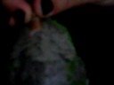 mi pepita hermosa:) mi pepita hermosa:)