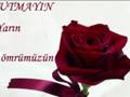 SeNi SeViYoRuM AsLiM