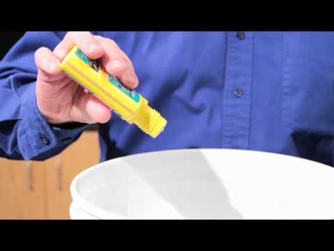 how to properly care for african dwarf frogs
