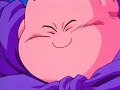 The majin bu saga-what i \ The majin bu saga-what i \
