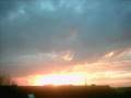 Summertime sang by Pyrilia