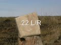 .17HMR Vs .22 LR