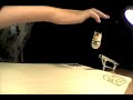 fingerboard