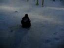 fantastic sledding wipe out. she tried to thread the needle, but failed. no animals were harmed in the making of this film.
