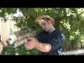 Special Effects - Gun Muzzle Flashes
