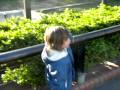 DSCN0427