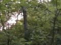 Moonsorrow - Aurinko ja Kuu Moonsorrow - Aurinko ja Kuu