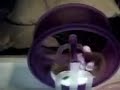 my funny robo hamster
