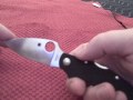 Two similarly priced Spydercos: the Sage 1 and the Caly 3. How do they compare?