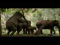 Elephants' Sexual Behaviour - Liagen