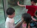 Kids jumping like Gorrilas Kids jumping like Gorrilas