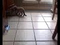 Video from My Phone (1113071406.3g2)