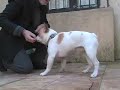 See video