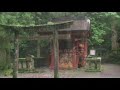 Nikko, Japan, 日光 日本, 休み (take two minutes to relax)