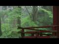 Nikko, Japan, 日光 日本,  休み  (take two minutes to relax)