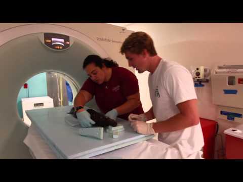 how to isolate organisms