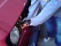 videos de Dem Gehlen sein bus get verscheinert