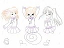 *~| Don\ *~| Don\
