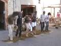 Il ballo della ginestra