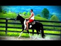 Click here to watch this video SHADOW RIDGE STABLES - STEEVIE.wmv