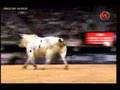 Round 4 J.B. Mauney falls off Flat Creek