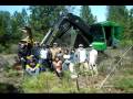 Forestry/Natural Resources Club Ishi Hike