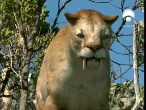 dientes de sable -