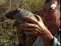 Parque Prehistórico - Capítulo 4/6 - Salvando a los Dientes de Sable 4/5