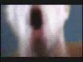 Pepper - "No Control" Volcom Entertainment
