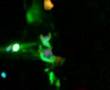 Roman Is Better by Kubichek! at Newcastle Carling Academy