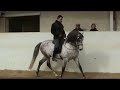 Somptueux cheval espagnol de chez Albert Cochet