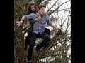 Twilight Mix