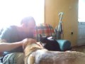 mad cat!!