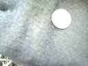 1833 Capped Bust Half Dime - My first 1800\ 1833 Capped Bust Half Dime - My first 1800\