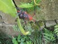 What? What?