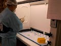 Pharmacy USP 797 IV Admixture Pharmacy USP 797 IV Admixture