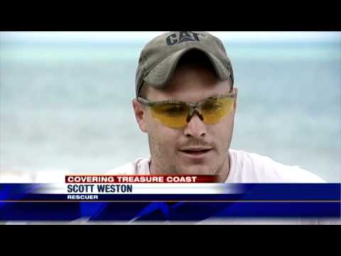 how to react shark attack