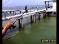 trip pj8 buduz ke pulau jemur