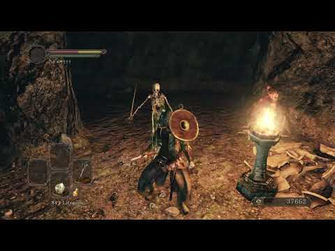 Estus Flask Shard and Titanite Chunk at Huntsman's Copse