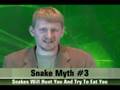Common Snake Myths