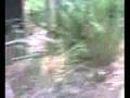 THORPE PARK FINAL.wmv