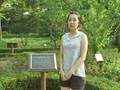 videos de [south korea gyeonggi-do] Mulhyanggi Arboretum(물향기수목원)