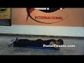 Ejercicios para los músculos espinales / Spine Muscle Plan Ejercicios para los músculos espinales / Spine Muscle Plan