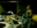 videos de Uh!Uh!